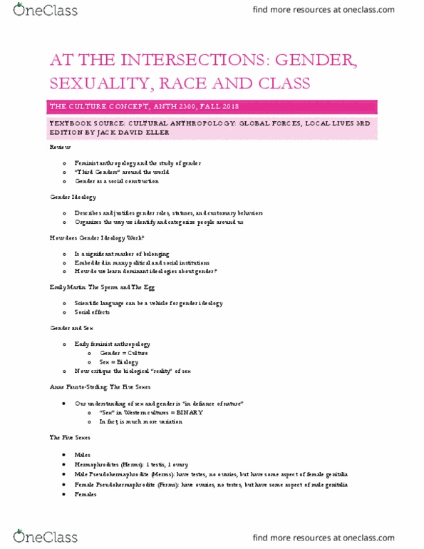ANTH 2300 Lecture Notes - Lecture 7: Feminist Anthropology, Intersectionality, Heteronormativity thumbnail