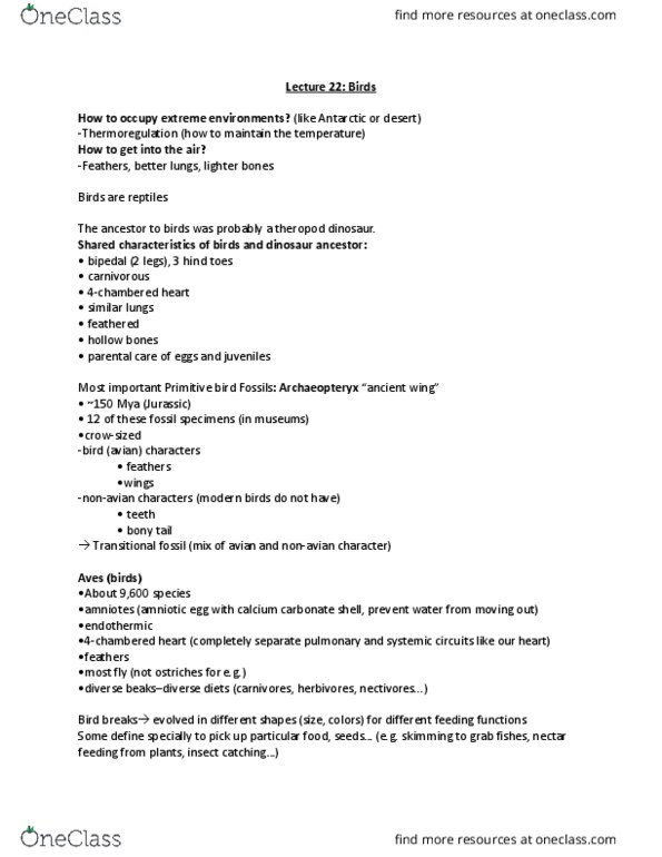 BIOL 111 Lecture Notes - Lecture 22: Amniote, Transitional Fossil, Theropoda thumbnail