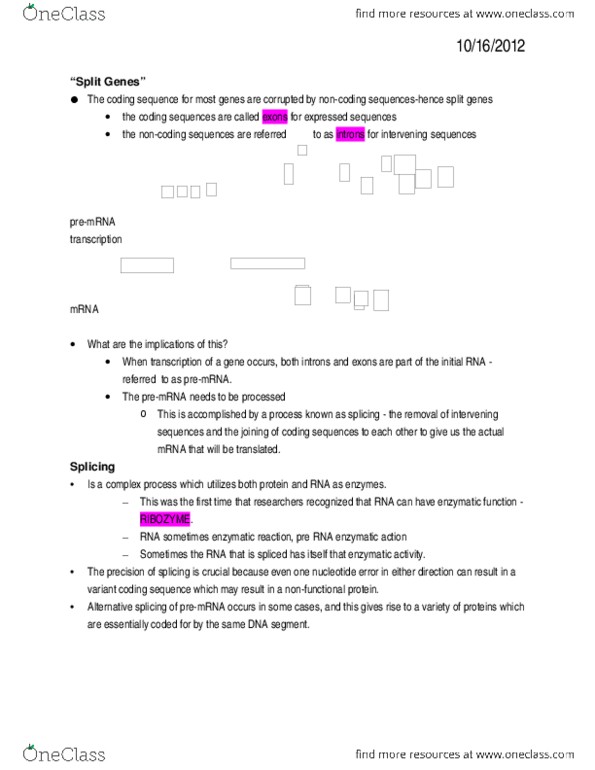 BIOL1300 Chapter Notes -Microtubule, Telophase, Metaphase thumbnail