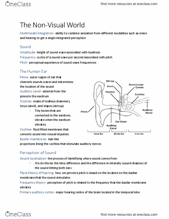 PSYC 100 Lecture Notes - Lecture 10: Incus, Basilar Membrane, Sound cover image