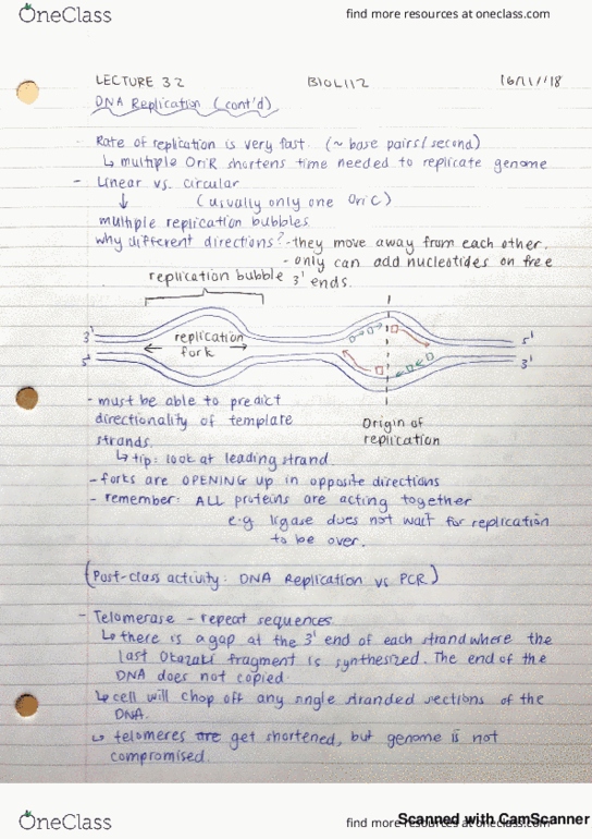 BIOL 112 Lecture 32: DNA Replication (cont’d), Introduction to Metabolism and Cellular Respiration cover image