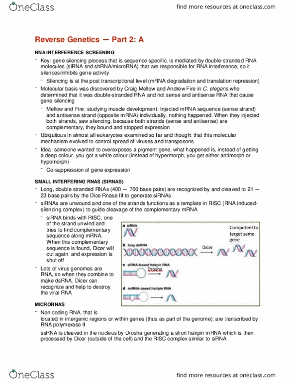 CMMB 461 Lecture Notes - Lecture 17: Antisense Rna, Reverse Genetics, Color Depth thumbnail