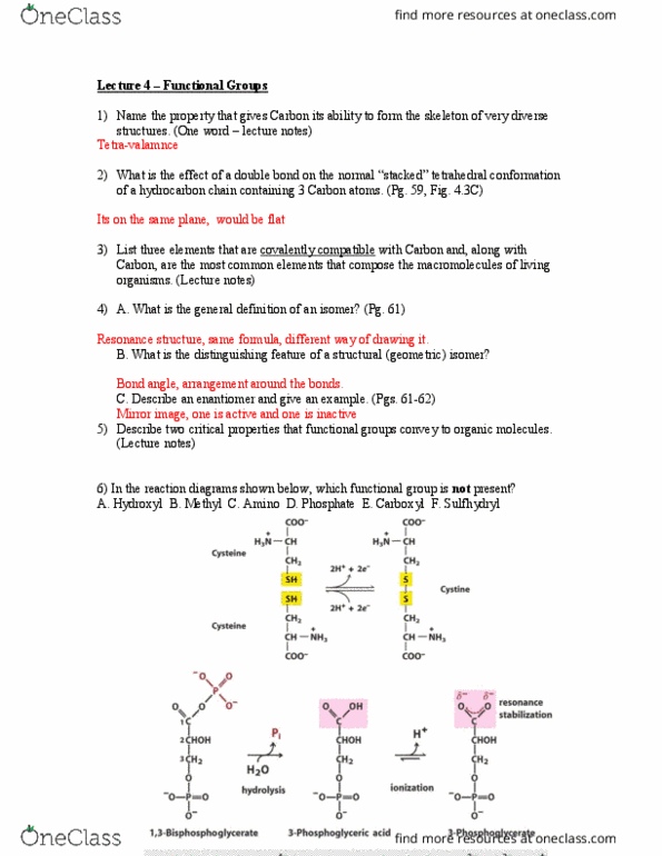BIOL 2112 Lecture Notes - Lecture 4: Molecular Geometry, Mirror Image, Hydroxy Group thumbnail
