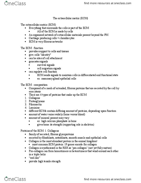 BIOB10H3 Lecture Notes - Lecture 11: Ultimate Tensile Strength, Mammary Gland, Laminin thumbnail