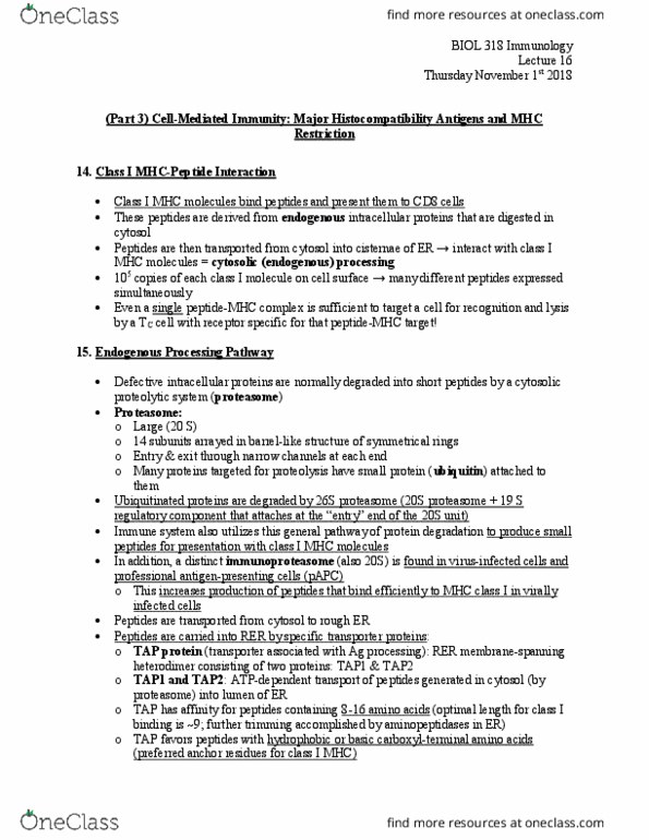 BIOL 318 Lecture Notes - Lecture 16: Mhc Class I, Tap1, Transporter Associated With Antigen Processing thumbnail