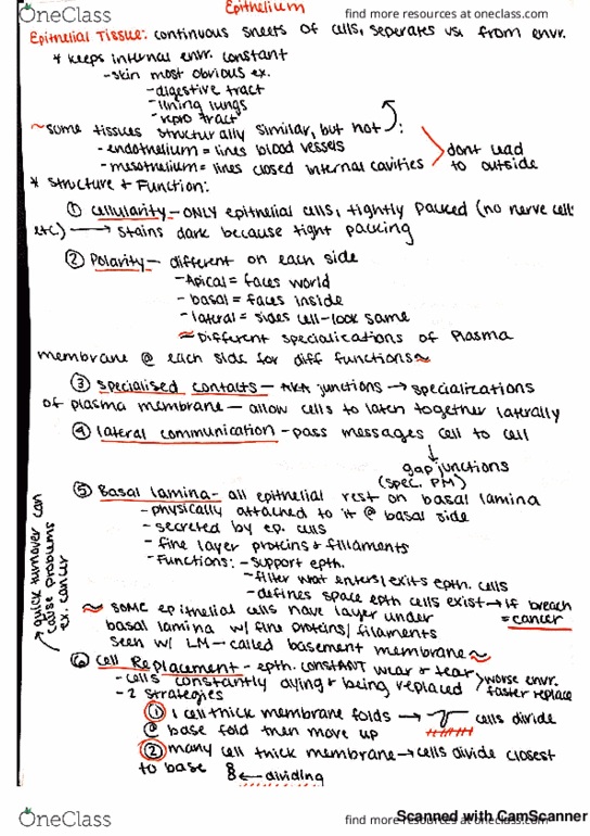 BIOL 352 Lecture 16: new doc 2018-04-29 12.10.10-20181119182521 thumbnail