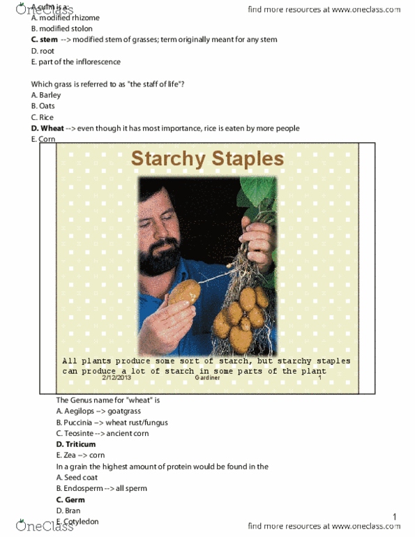 Biology 2217B Lecture 12: Lecture 12 - Starchy Staples.pdf thumbnail