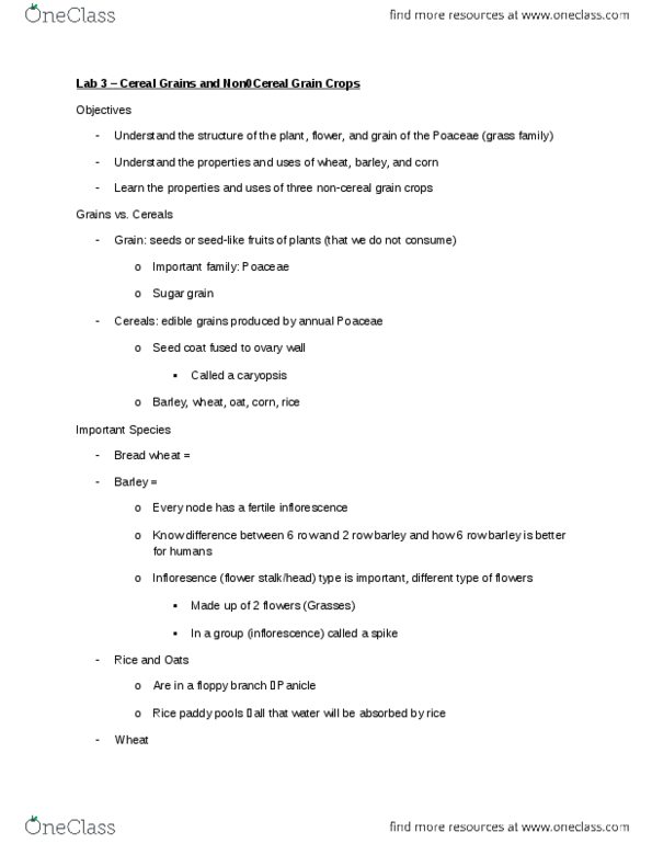 Biology 2217B Chapter Notes -Ligule, Stamen, Corn Kernel thumbnail