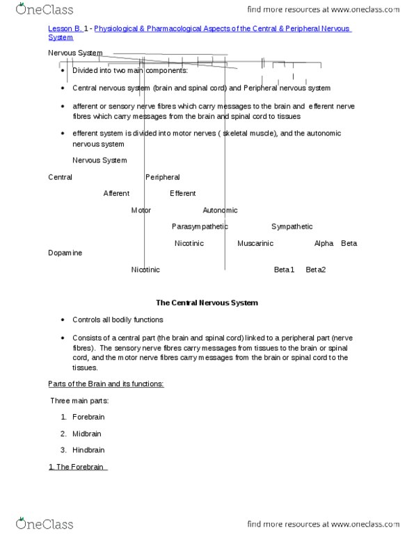 PHAR 100 Lecture Notes - Endocrine System, Prazosin, Glutamatergic thumbnail