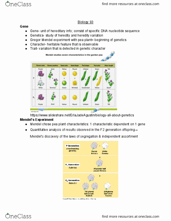 BIO SCI 93 Lecture Notes - Lecture 23: Mendelian Inheritance, Heredity, Gamete cover image