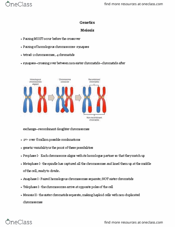 NATS 1675 Lecture Notes - Lecture 8: Sister Chromatids, Meiosis, Telophase thumbnail