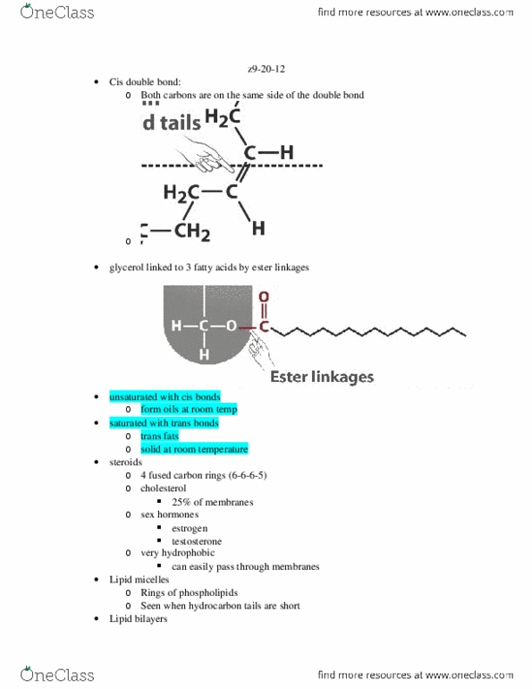 BIO-0013 Lecture Notes - Trans Fat, Lysosome, Glycerol thumbnail