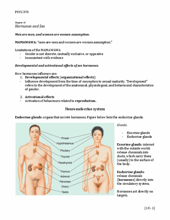 PSYC 370 Chapter Notes -Androstenedione, Seminal Vesicle, Labia Minora thumbnail