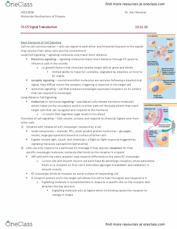 HSS 2305 Chapter Notes - Chapter 15: Signal Transduction, Adrenergic Receptor, Autocrine Signalling thumbnail