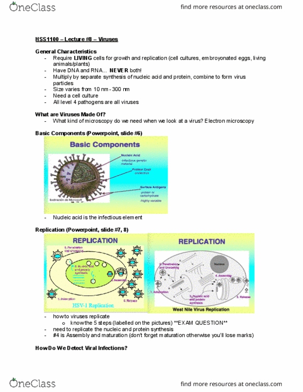 HSS 1100 Lecture Notes - Lecture 11: Cell Culture, Immunoglobulin G, Diarrhea cover image