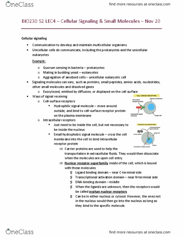 BIO230H1 Lecture Notes - Lecture 11: Small Molecule, Quorum Sensing, Nuclear Receptor cover image