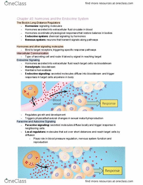BIOL 1107 Chapter Notes - Chapter 45: Cortisol, Melatonin, Pituitary Gland thumbnail