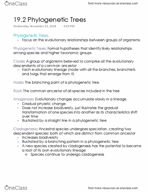 Biology 1001A Lecture Notes - Lecture 20: Phylogenetic Tree, Cladogenesis, Phylogenetics thumbnail