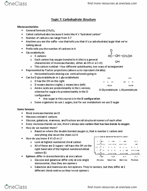 Biochemistry 2280A Lecture Notes - Lecture 7: Mannose, Galactose, Monosaccharide thumbnail