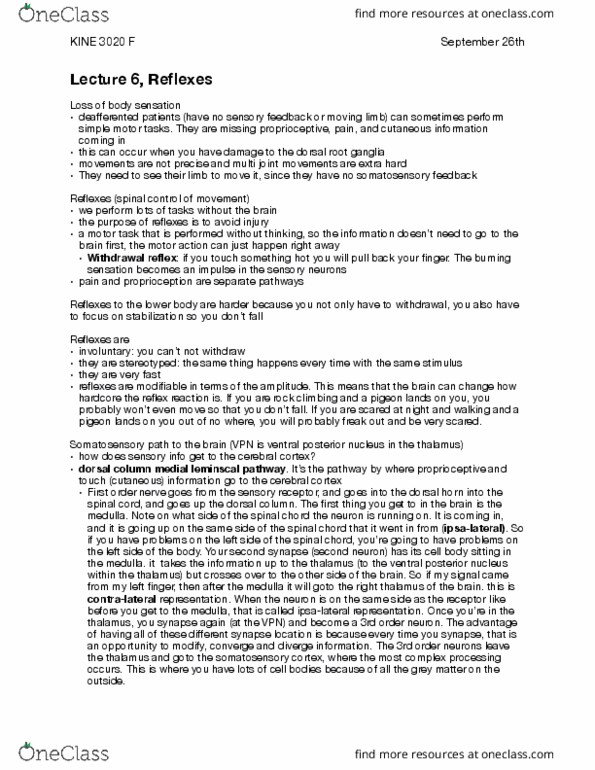 KINE 3020 Lecture Notes - Lecture 6: Ventral Posterior Nucleus, Dorsal Root Ganglion, Posterior Column thumbnail