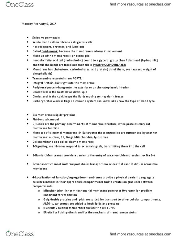 BSCI 170 Lecture Notes - Lecture 6: Lipid Bilayer, Membrane Lipids, White Blood Cell thumbnail