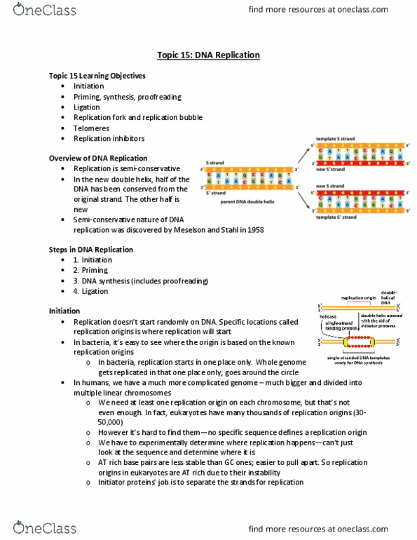 Biochemistry 2280A Lecture Notes - Lecture 15: Dna Replication, Semiconservative Replication, Proofreading thumbnail