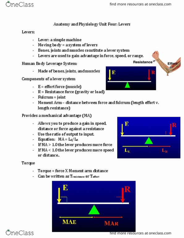 KINS 1223 Lecture Notes - Lecture 23: Simple Machine, Mechanical Advantage thumbnail