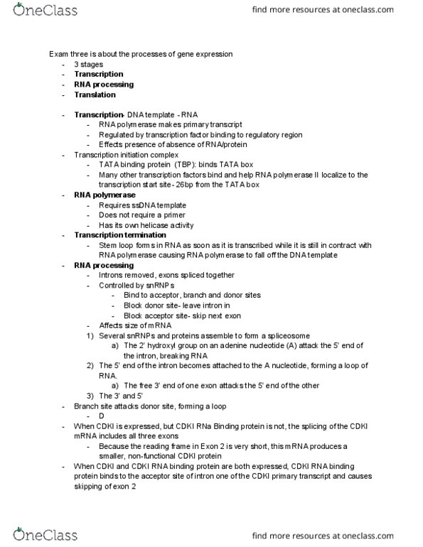 BIOLOGY 151 Lecture Notes - Lecture 27: Tata Box, Binding Protein, Intron thumbnail