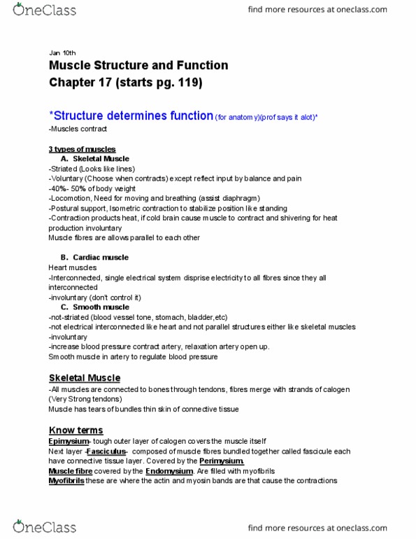 KINE 1020 Lecture Notes - Lecture 2: Smooth Muscle Tissue, Cardiac Muscle, Myofibril thumbnail