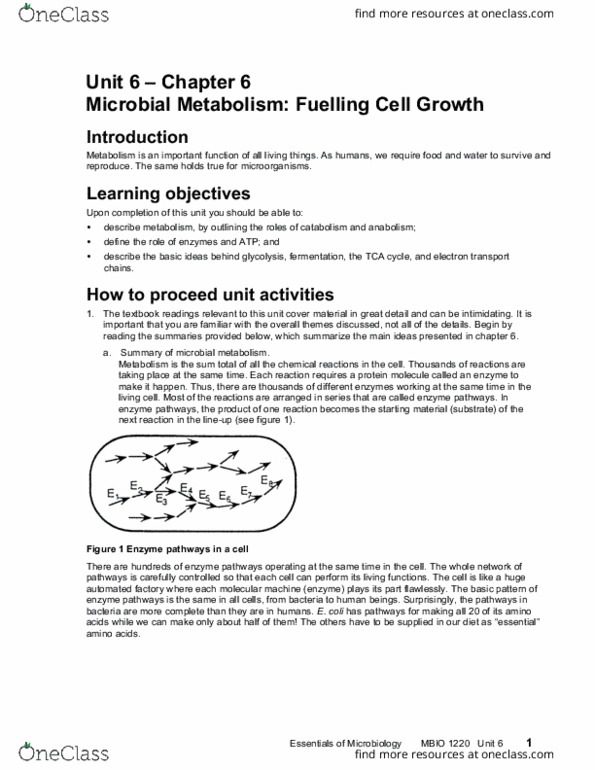 MBIO 1220 Lecture Notes - Lecture 6: Citric Acid Cycle, Molecular Machine, Microbiology thumbnail
