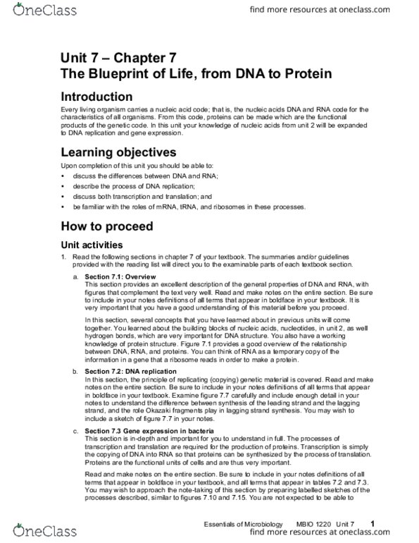 MBIO 1220 Lecture Notes - Lecture 7: Dna Replication, Okazaki Fragments, Gene Expression thumbnail