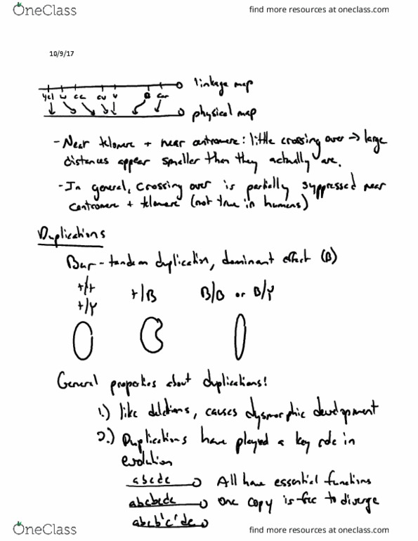 Biology And Biomedical Sciences BIOL 381 Lecture 18: Lecture 18 thumbnail