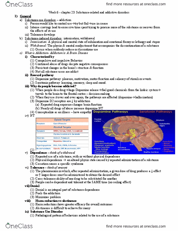 NURSE-UN 241 Lecture Notes - Lecture 6: Harm Reduction, Mesolimbic Pathway, Frontal Lobe thumbnail