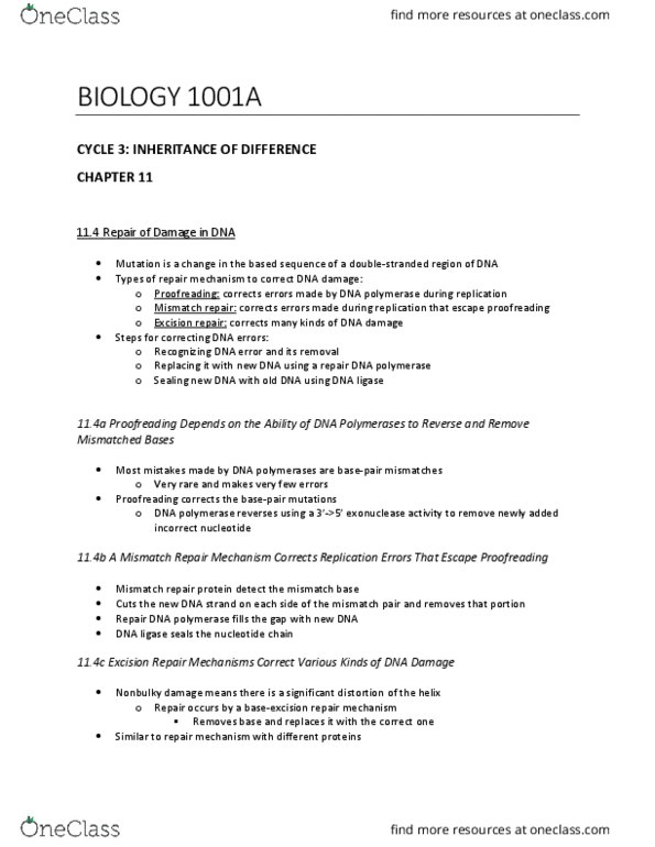 Biology 1001A Lecture Notes - Lecture 5: Dna Mismatch Repair, Dna Ligase, Proofreading thumbnail