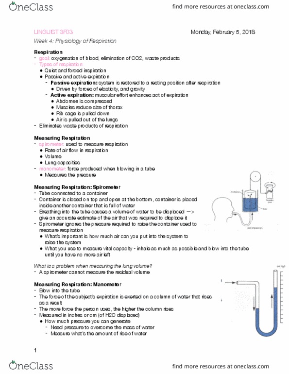 LINGUIST 3F03 Lecture Notes - Lecture 9: Spirometer, Rib Cage, Pressure Measurement thumbnail