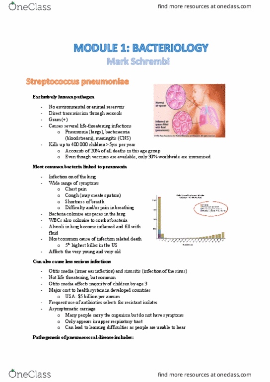 MICR3001 Lecture Notes - Lecture 1: Respiratory Tract, Otitis Media, Bacteremia thumbnail