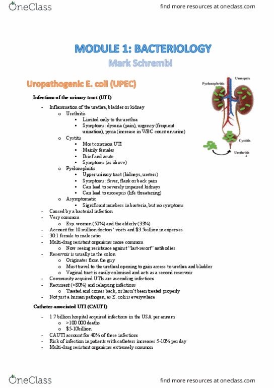 MICR3001 Lecture Notes - Lecture 4: Dysuria, Urethritis, Pyelonephritis thumbnail