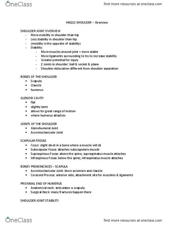 HN210 Lecture Notes - Lecture 3: Acromioclavicular Joint, Glenohumeral Ligaments, Subscapularis Muscle thumbnail