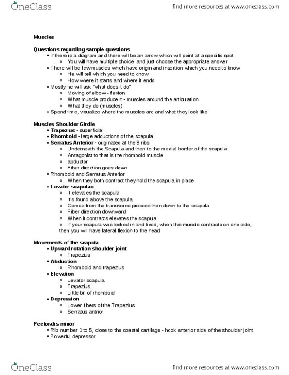 KINE 2031 Lecture Notes - Ulna, Mechanical Advantage, Infraspinatus Muscle thumbnail