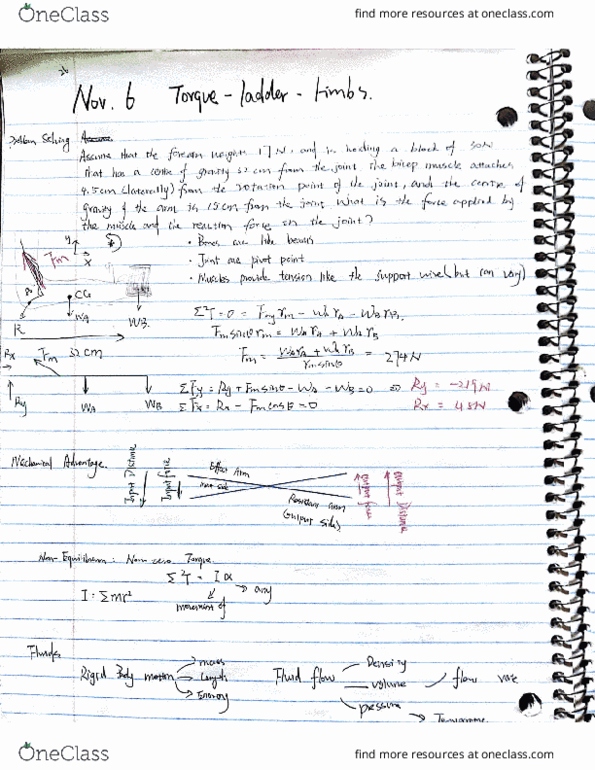 PHYS 117 Lecture 26: torque question solving cover image