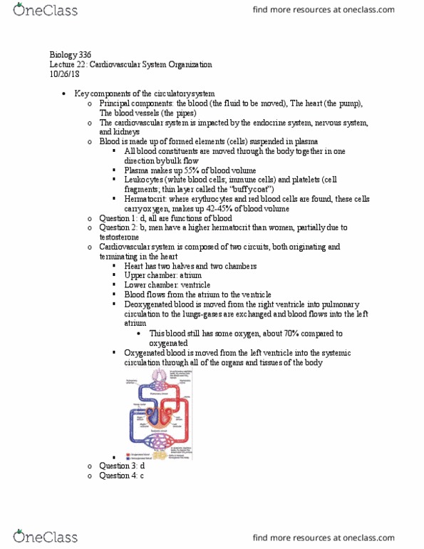 BIOL 336 Lecture Notes - Lecture 22: Buffy Coat, Pulmonary Circulation, Circulatory System thumbnail