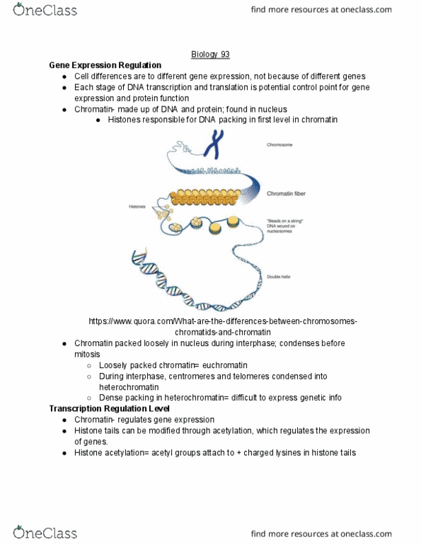 BIO SCI 93 Lecture Notes - Lecture 27: Heterochromatin, Chromatin, Euchromatin cover image