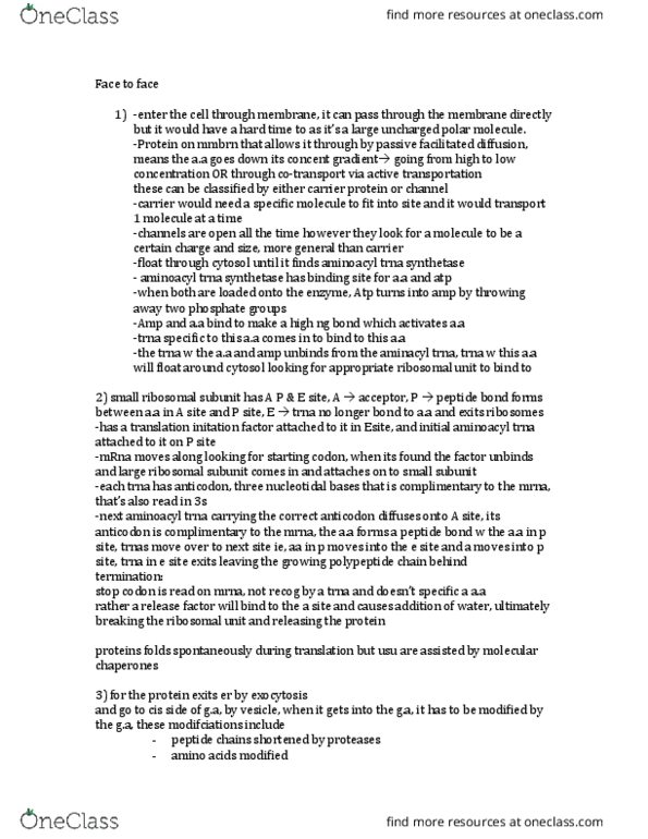 BIOL130 Lecture Notes - Lecture 12: Aminoacyl Trna Synthetase, Membrane Transport Protein, Transfer Rna thumbnail