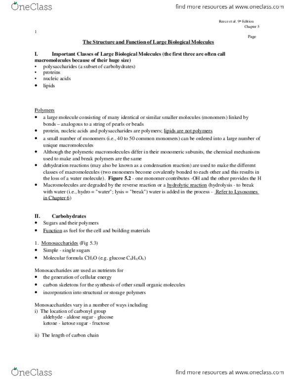 BIOL 1010 Lecture Notes - Thymine, Cytosine, Pentose thumbnail