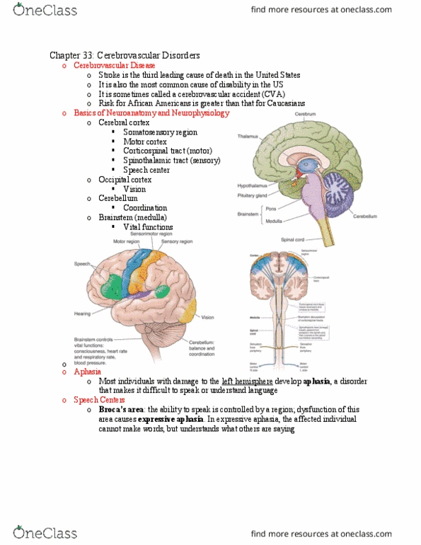 NUR230 Lecture Notes - Lecture 24: Spinothalamic Tract, Corticospinal Tract, Expressive Aphasia thumbnail
