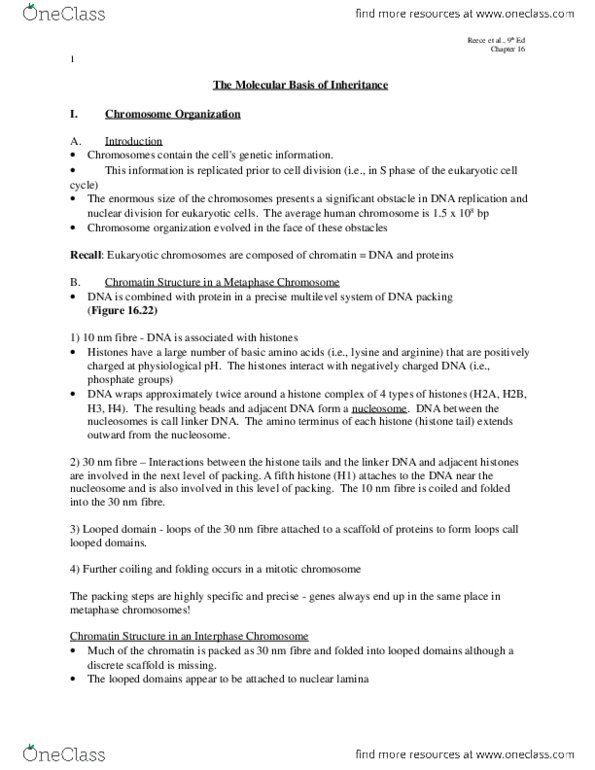 BIOL 1010 Lecture Notes - Proofreading, Dna Mismatch Repair, Xeroderma Pigmentosum thumbnail