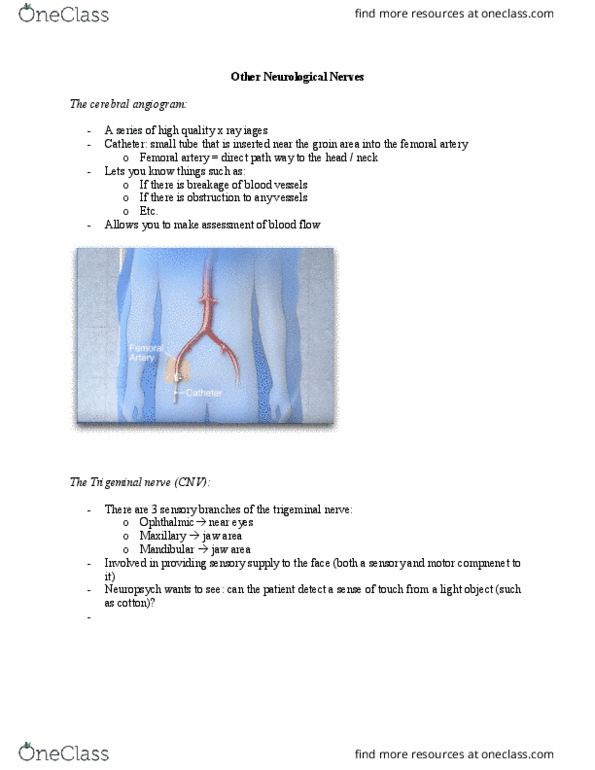 PSYCH 2NF3 Lecture Notes - Lecture 11: Femoral Artery, Trigeminal Nerve, Angiography thumbnail