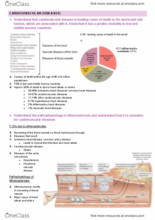 IMED1004 Lecture Notes - Lecture 20: Peripheral Artery Disease, Cerebrovascular Disease, Ischemia thumbnail