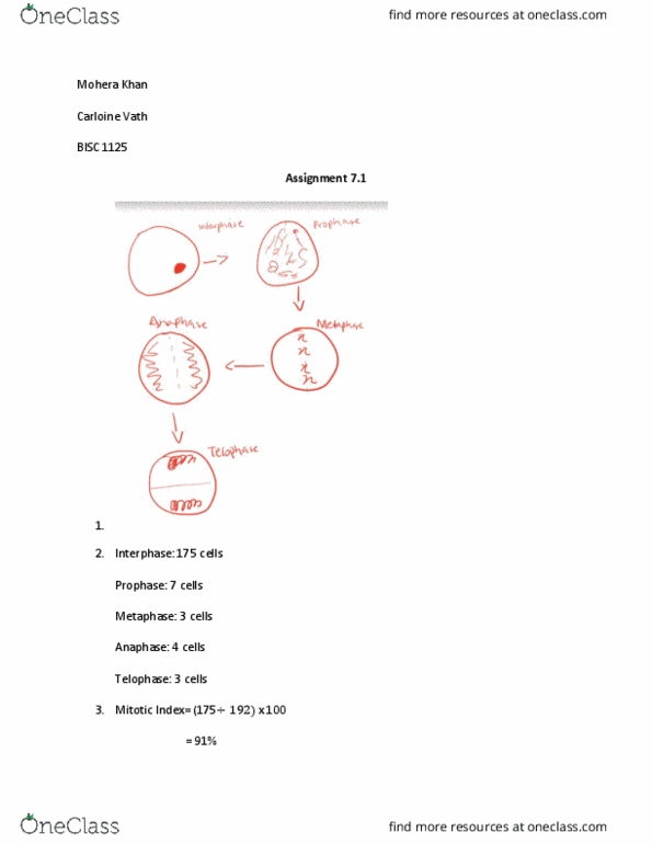 document preview image