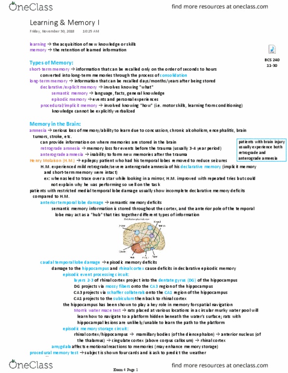 BCS 240 Lecture Notes - Lecture 32: Rhinal Cortex, Anterograde Amnesia, Morris Water Navigation Task thumbnail